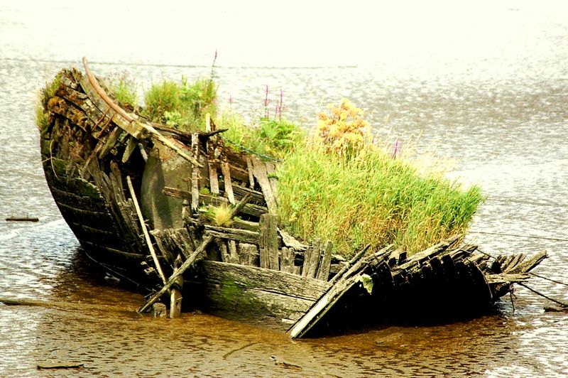 E.on SE - Chance oder Risiko 610310