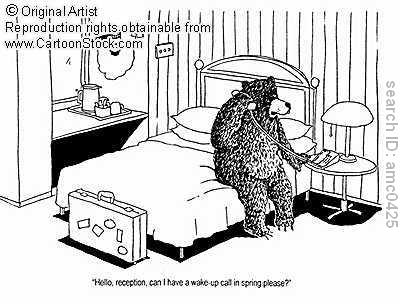 Der USA Bären-Thread 305653