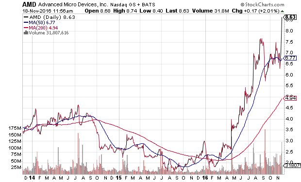 Der USA Bären-Thread 953350