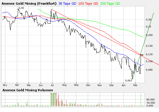Ammex-Riesen Rebound 08! 149581