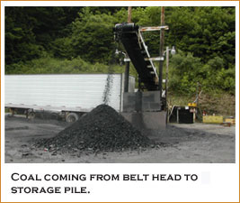 QUEST MINERALS+MNG (WKN: A0M92C) Produktionsstart? 183184