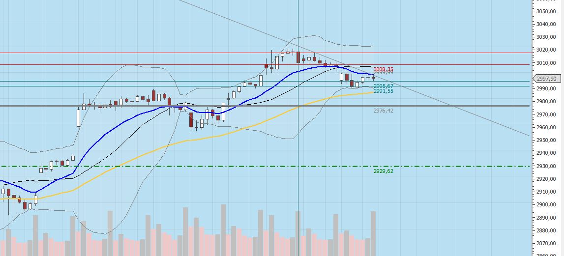 Gaertnerin's Boersen-Huesli 1134217
