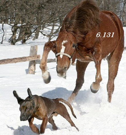 882.DAX Tipp-Spiel *Montag* 29.09.08, 17.45 Uhr 189158