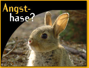 Q-Cells , der Solarzellenriese 365623