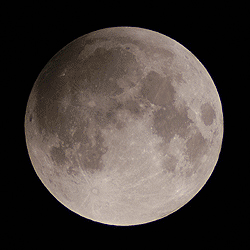 728.DAX Tipp-Spiel, Donnerstag, 21.02.08, 17.45 Uh 149530