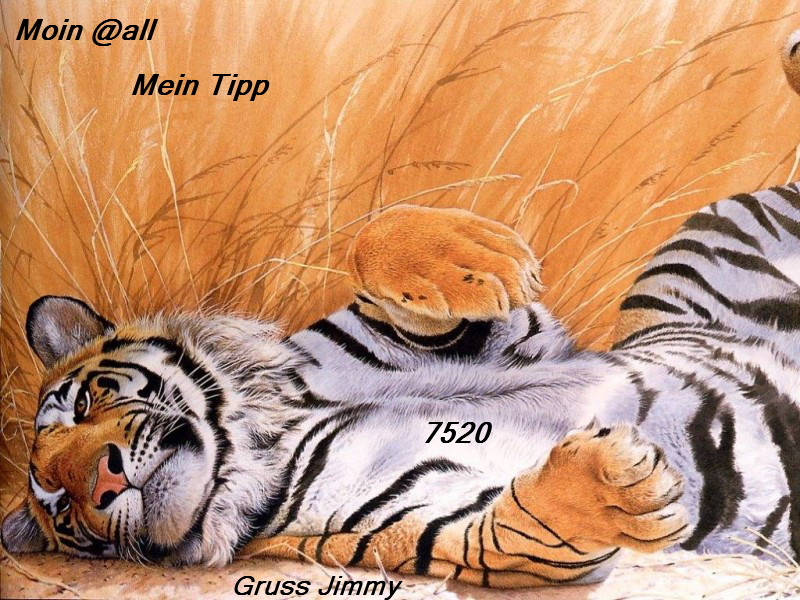 666.DAX Tipp-Spiel, Dienstag, 20.11.07 132136