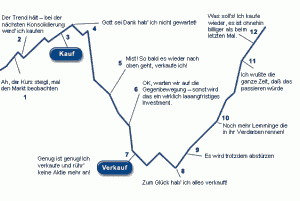QV ultimate 2012 563150