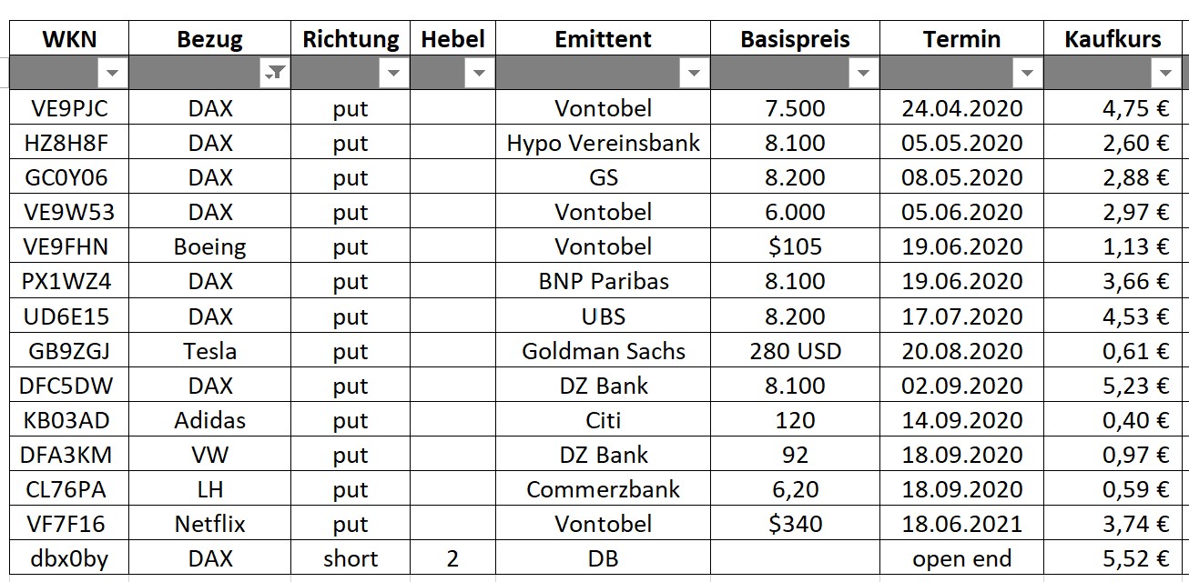 Corona Portfolio Short 1173704