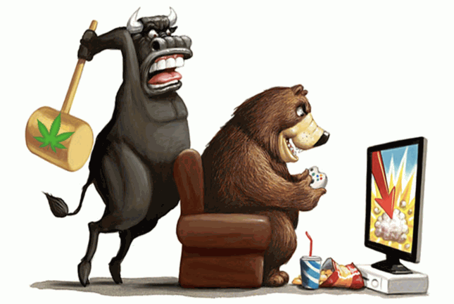 Der USA Bären-Thread 1162161