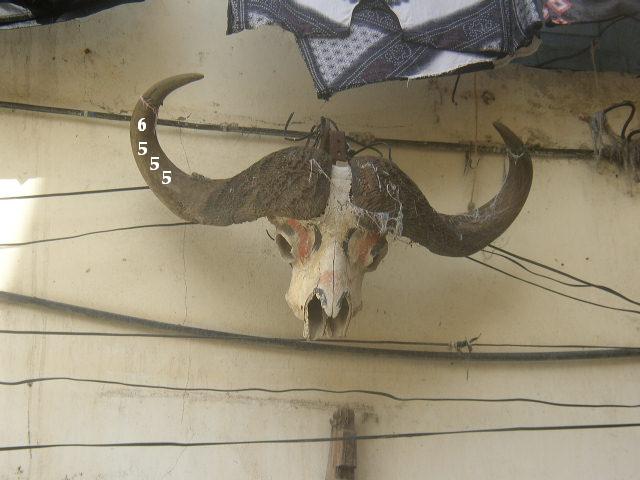 814.DAX Tipp-Spiel, Mittwoch, 25.06.08, 17:45 Uhr 171105