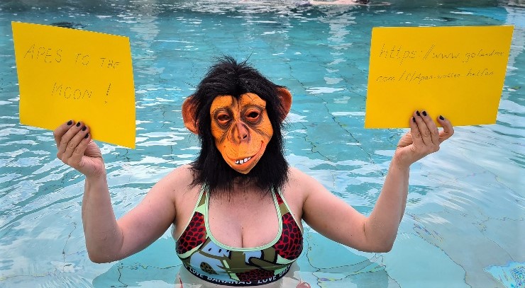 AMC Entertainment Holdings 2.0 - Todamoon?!? 1325634