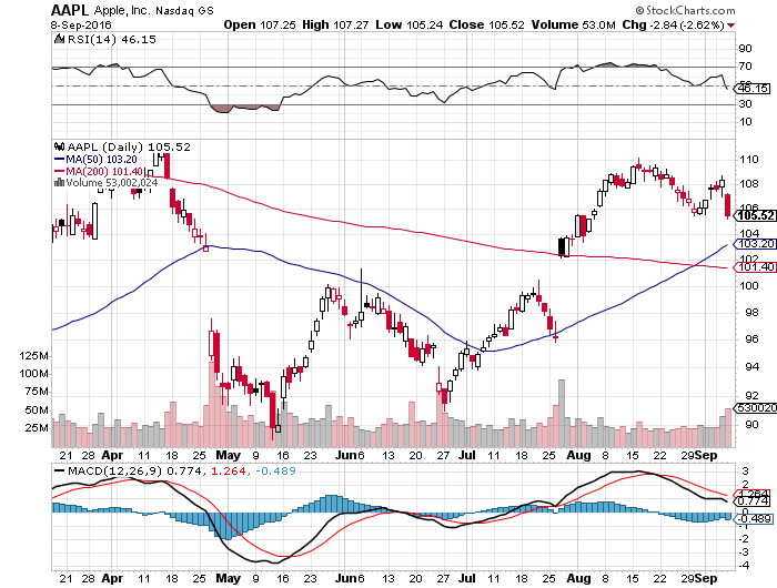 Der USA Bären-Thread 938308