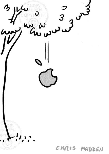 Der USA Bären-Thread 602387