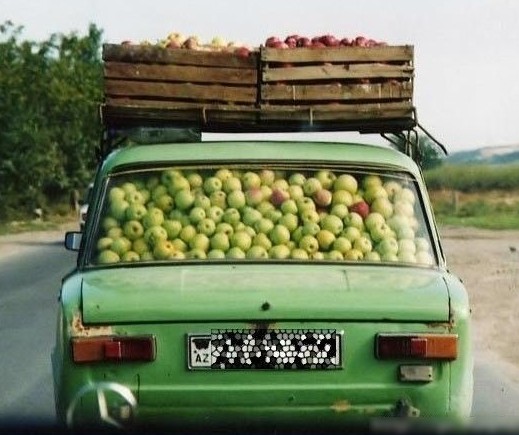 Apple Short Only 907535