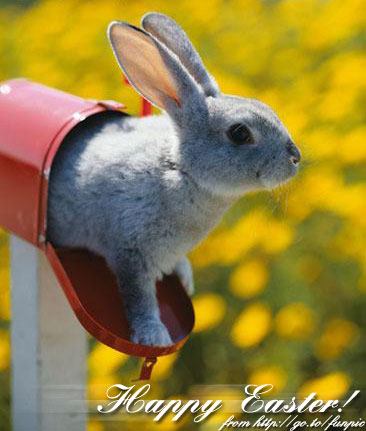 Frühtipper für unser DAX Tippspiel 390689