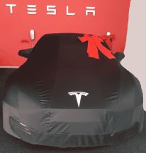Tesla - Autos, Laster, Speicher und Solardächer 1063808