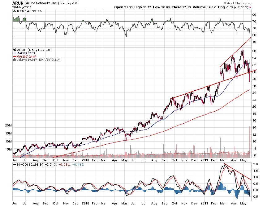 Bear Zocks - daily 405452
