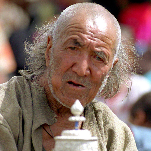 Das Bärengebrüll wird schon wieder lauter, 162568