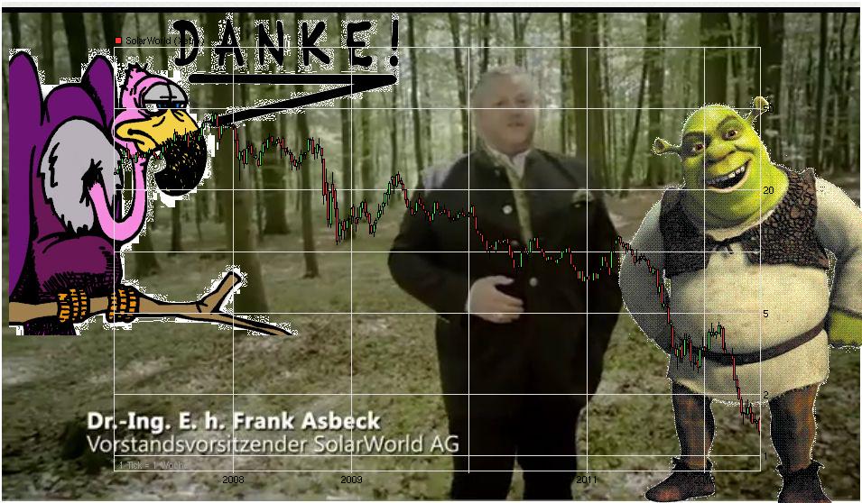 Kurs-Massaker bei Solarwerten - wie lange ? 515645