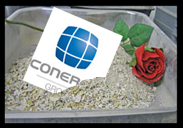 Conergy, Pro und Contra... 624647