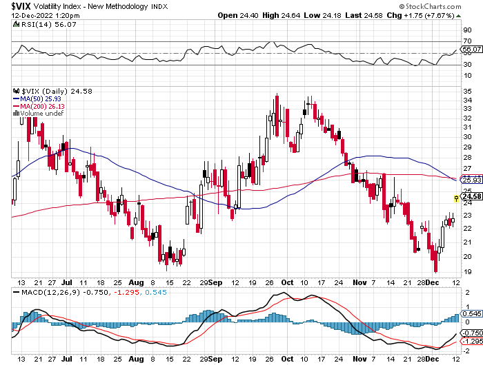 Der USA Bären-Thread 1346152