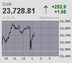 Der USA Bären-Thread 1174208