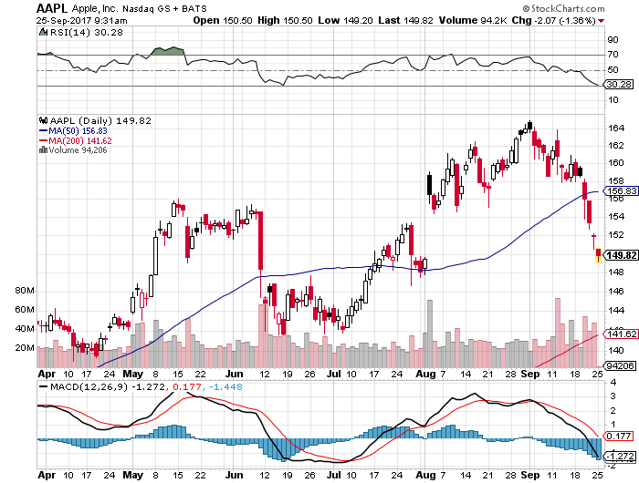 Der USA Bären-Thread 1014330