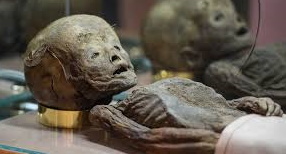 Der USA Bären-Thread 1223853