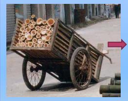 Asian Bamboo, geht die Bambusstory weiter? 710047