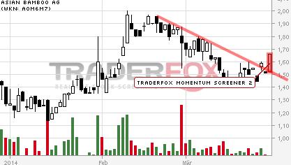 Asian Bamboo, geht die Bambusstory weiter? 710003