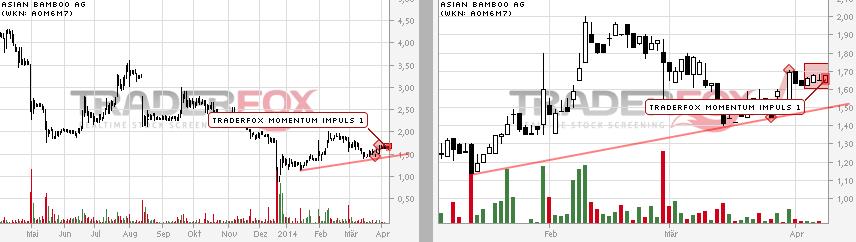 Asian Bamboo, geht die Bambusstory weiter? 712300