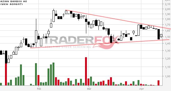 Asian Bamboo, geht die Bambusstory weiter? 713584