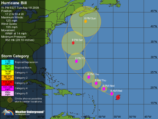 Die Bullen scharren gar nicht mit den Hufen, 253607
