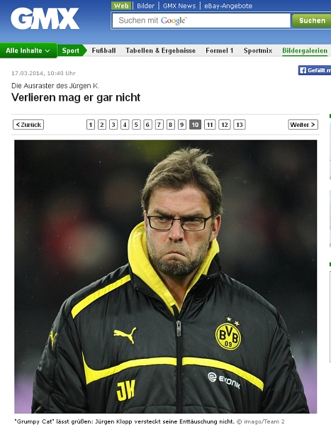 Der USA Bären-Thread 707686