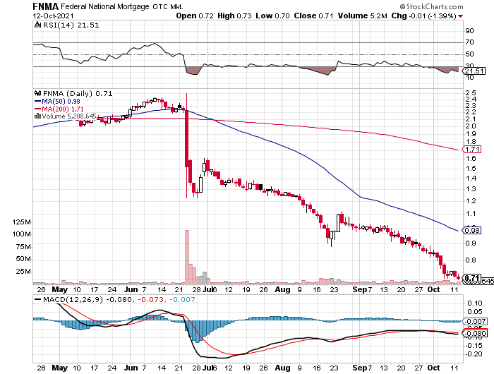 Fannie Mae - Chance auf Verdreifachung bis Juli 1278761