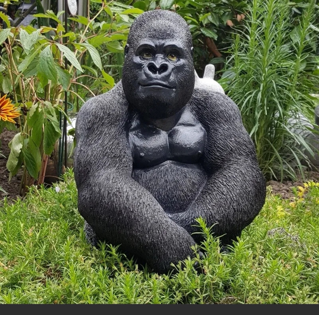 AMC Entertainment Holdings 2.0 - Todamoon?!? 1333524