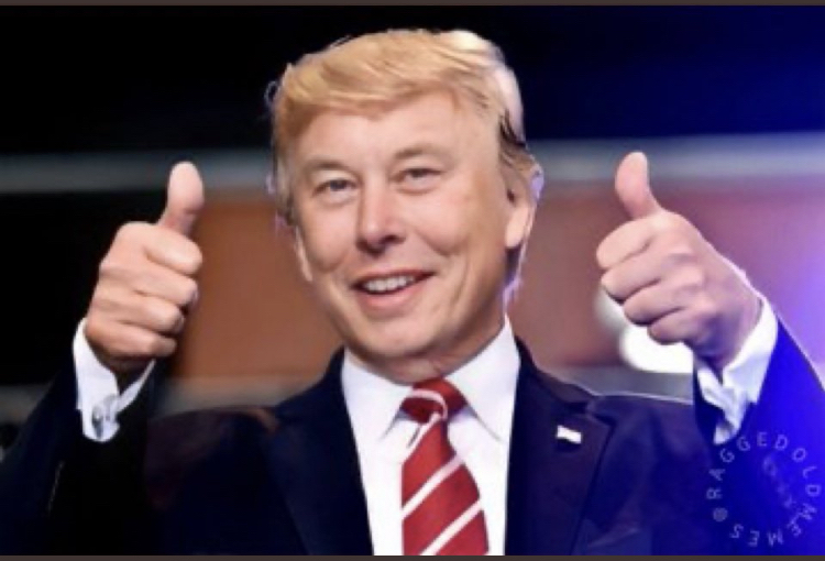 Tesla - Autos, Laster, Speicher und Solardächer 1350520