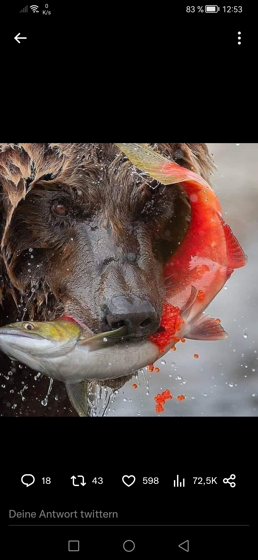 2023-qv-gdaxi-dj-gold-eurusd-jpy 1358638