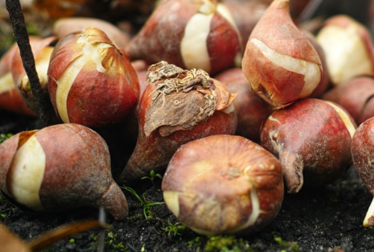 Krofitime Trading 1417121