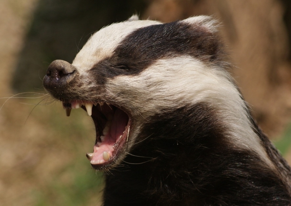 2025-QV-GDAXi-DJ-GOLD-EURUSD-JPY 1469850