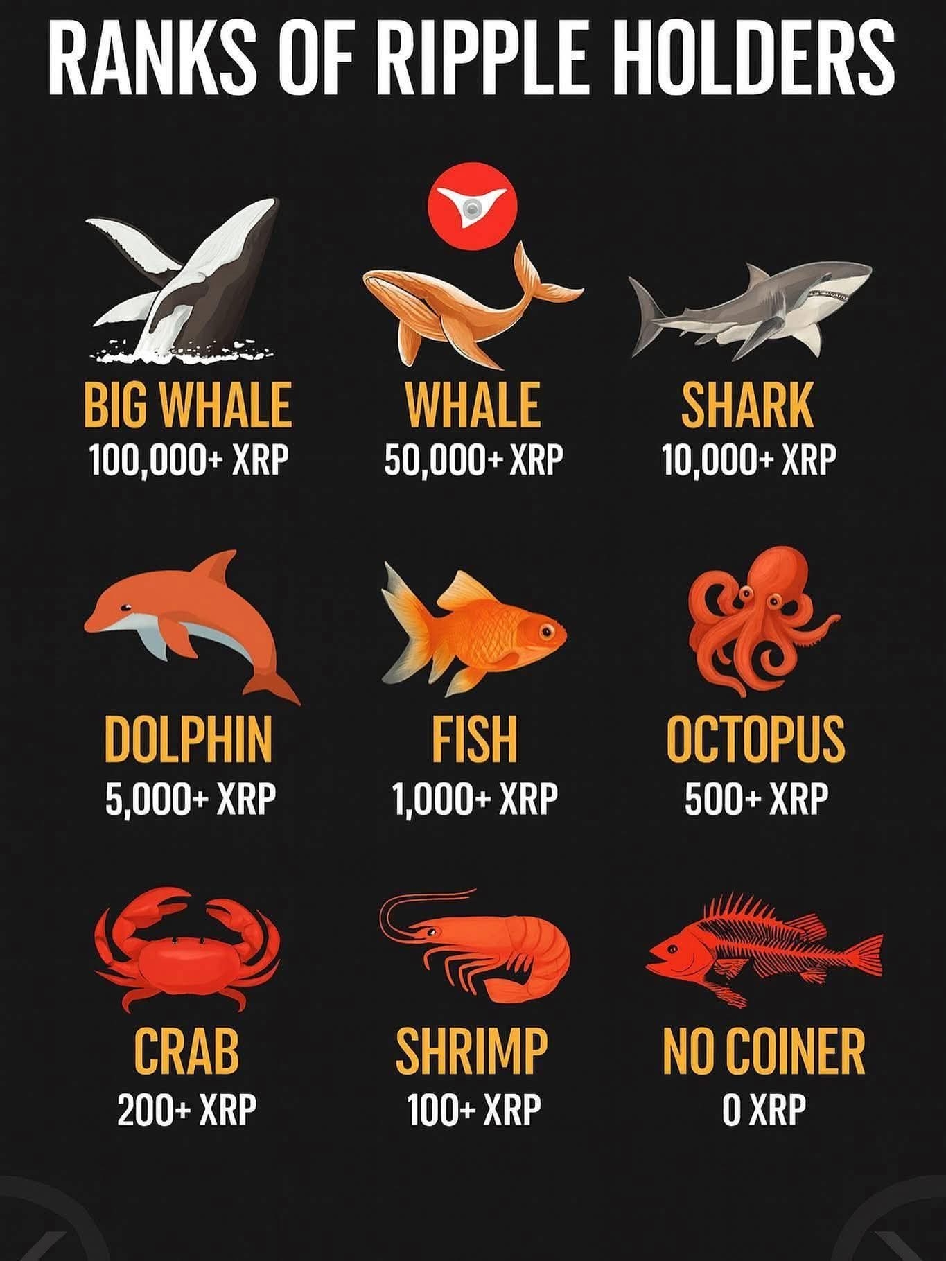 Ripple / XRP 1503266