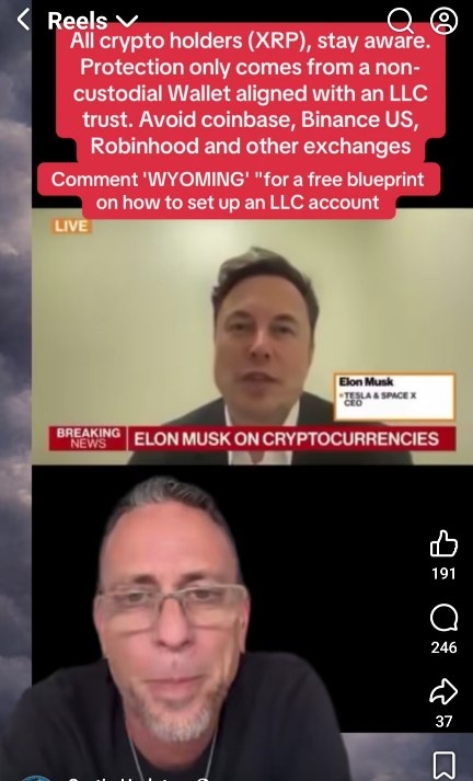 Ripple / XRP 1513163