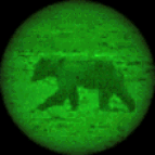 Echt nicht Schlecht-Fenstersolarzellen 26411