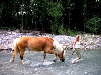 654.DAX Tipp-Spiel, Freitag, 02.11.07 129350