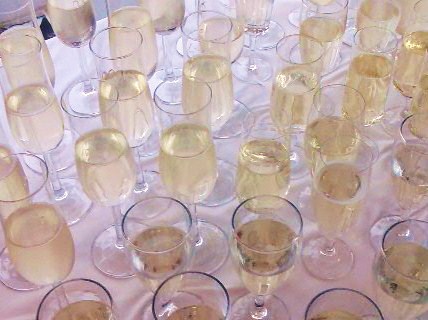 ARISE die canadische Solarperle ! 176790