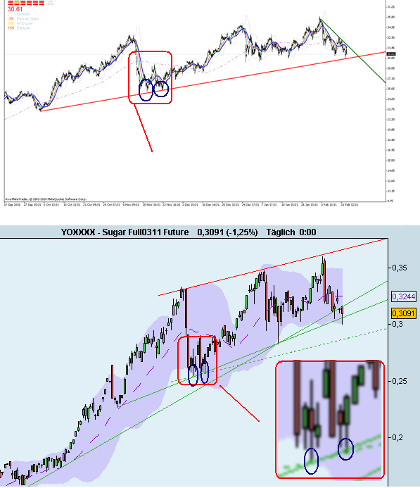 Die Zuckerhausse kommt 380946