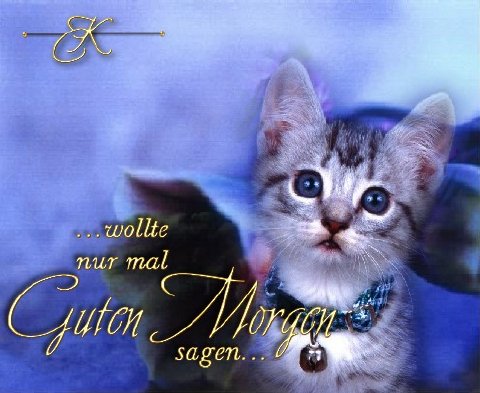 f-h Oni BW sb & Friends-TTT, Freitach 06.05.2005 8075