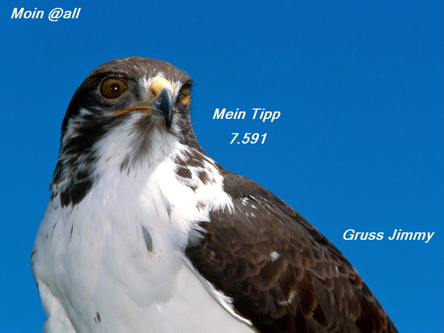 671.DAX Tipp-Spiel, Dienstag, 27.11.07, 17.45 Uhr, 133338