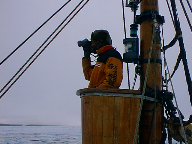 Thompson Creek Metals (Blue Pearl Mng) 78725