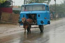 Goldproduzent für 15 Mio. Euro - 100.000 Unzen p.a 350676